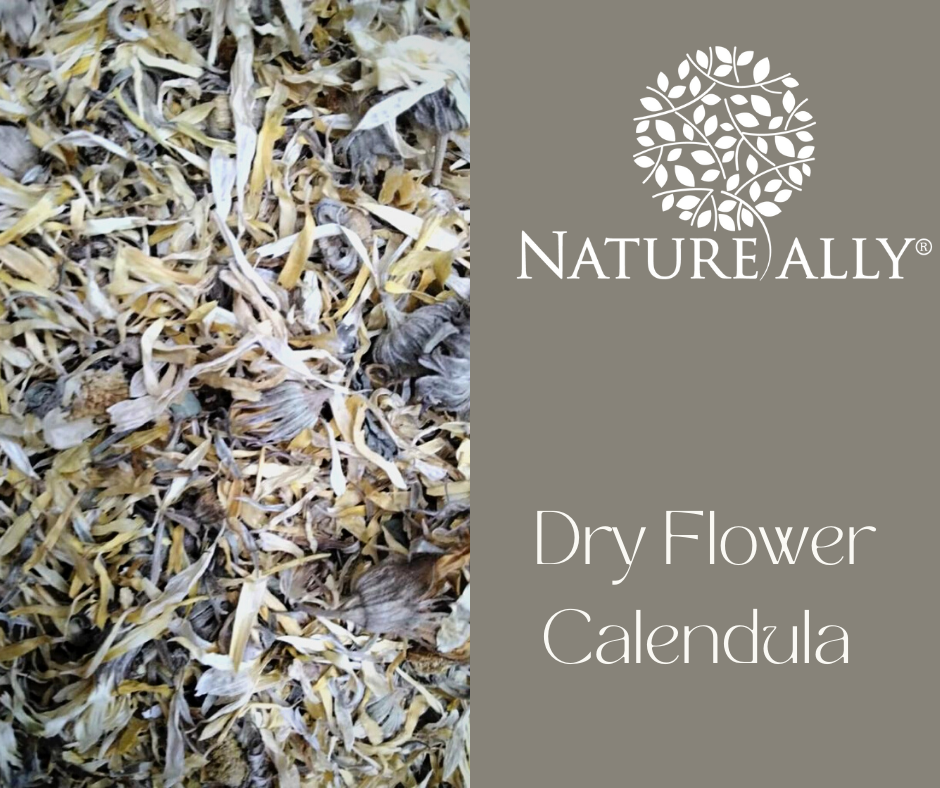 Calendula Dry Flowers