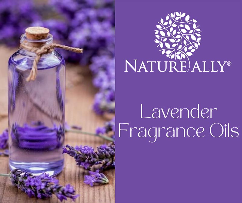Lavender Fragrance Oils