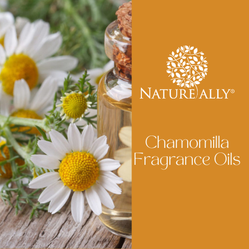 Chamomilla Fragrance Oils