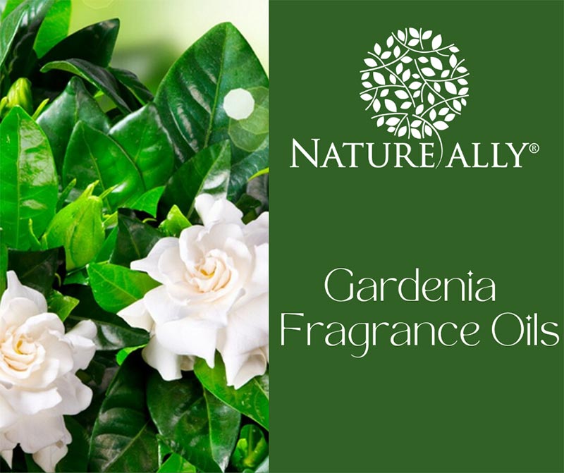 Gardenia Fragrance Oils