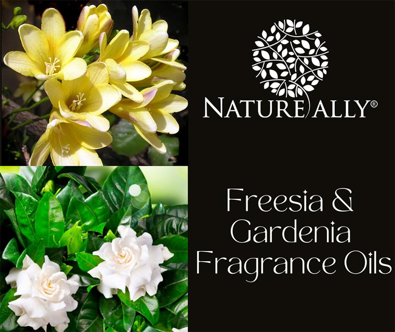 Freesia & Gardenia Fragrance Oils