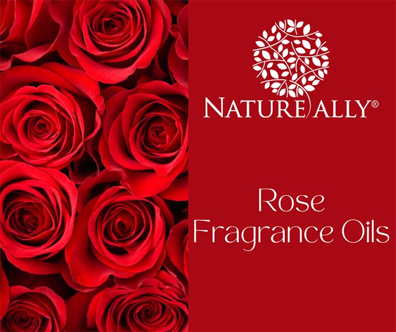 Rose Fragrance Oils