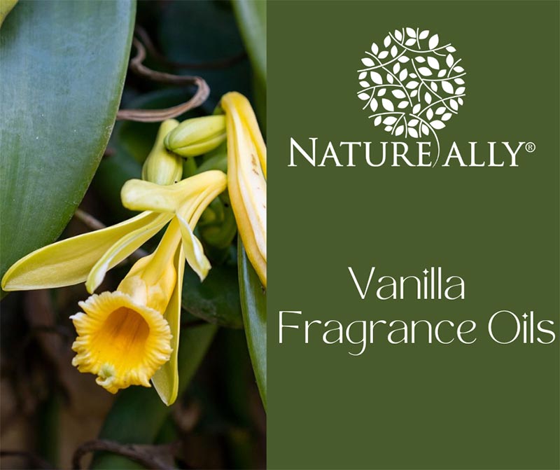 Vanilla Fragrance Oils