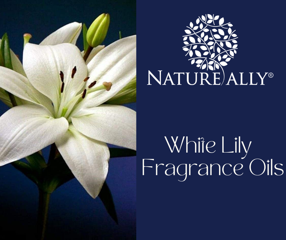 White Lilly Fragrance Oils