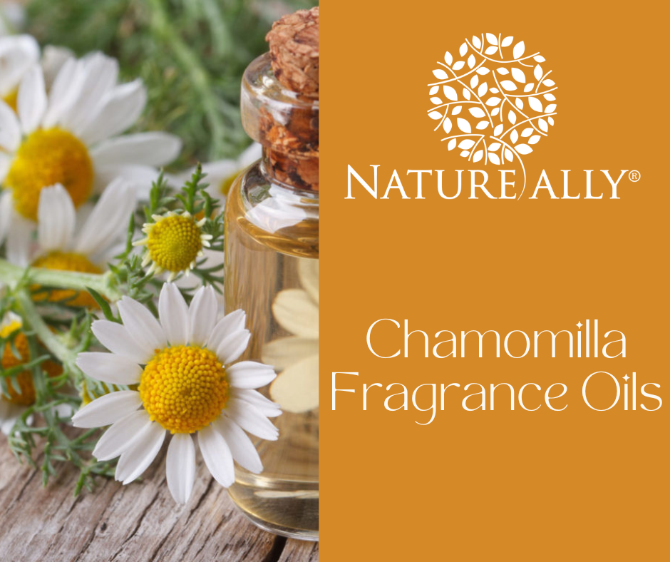 Chamomilla Fragrance Oils